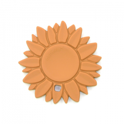 copy of