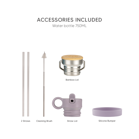 Citron Water Bottle 750 ml (Stainless Steel) - Purple