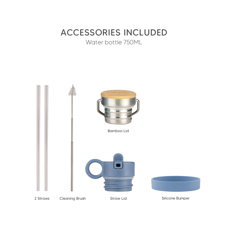 Citron Water Bottle 750 ml (Stainless Steel) - Dark Blue