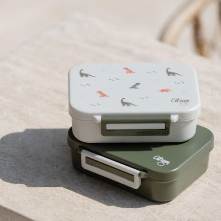 Citron Snackbox Mini Tritan - Dino