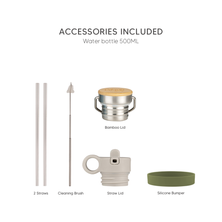 Citron Water Bottle 500 ml (Stainless Steel) - Green