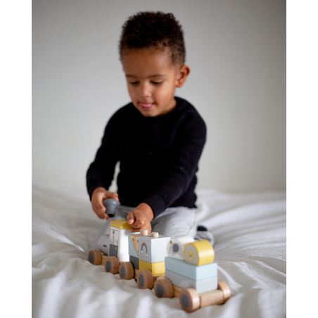 TRYCO Drevený vláčik, veľký