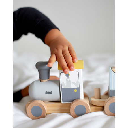 TRYCO Wooden Circus Train