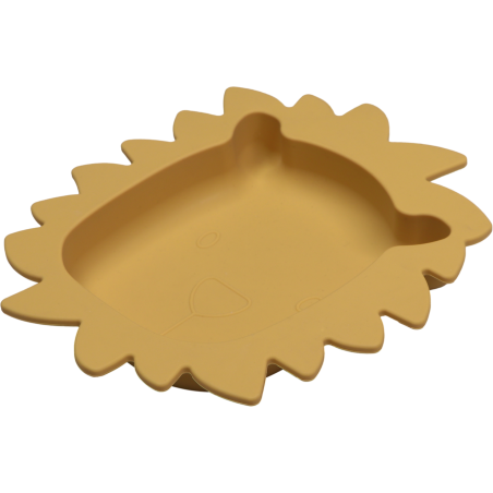 copy of