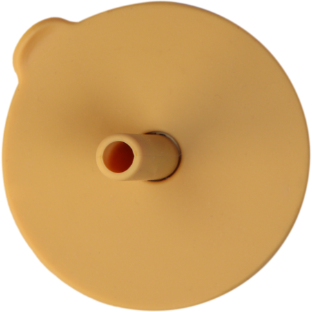 copy of