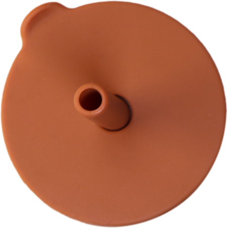 copy of