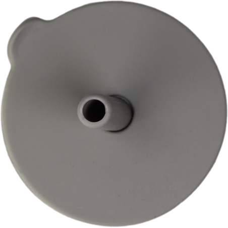copy of
