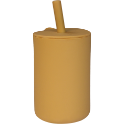 copy of
