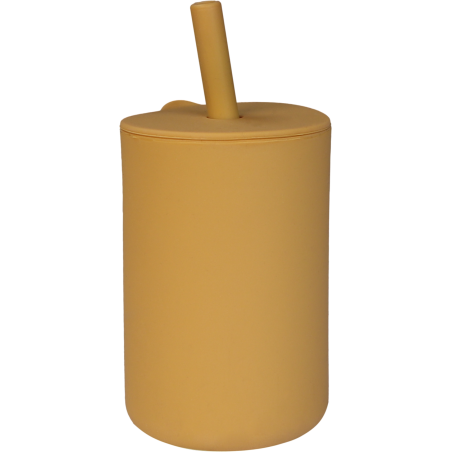 copy of