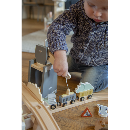 TRYCO Wooden Trainset Extension Dinosaurs