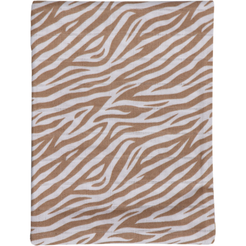 copy of