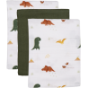 copy of