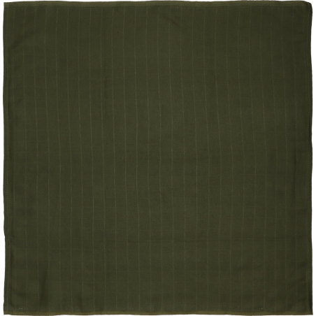 TRYCO Mušelínové plenky, 6ks - Dinosaur