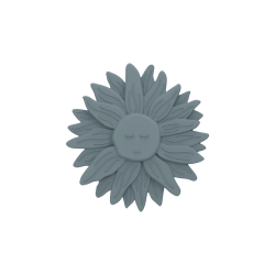 copy of