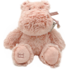 copy of