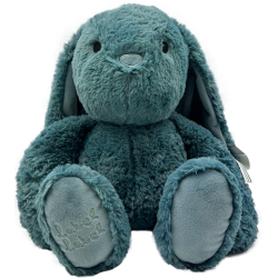 copy of