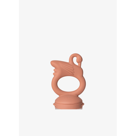 copy of