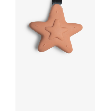 copy of
