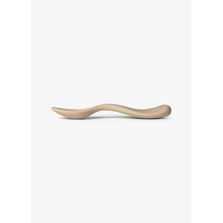 copy of