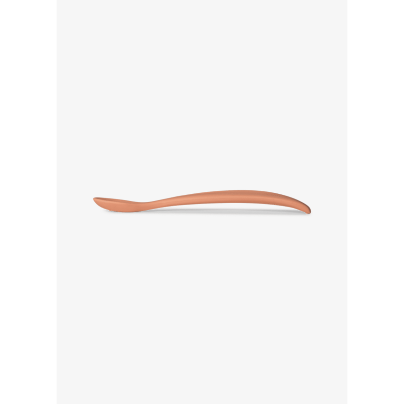 copy of