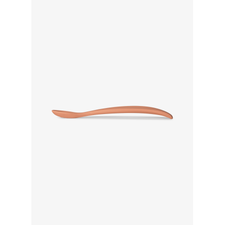 copy of