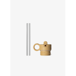 copy of