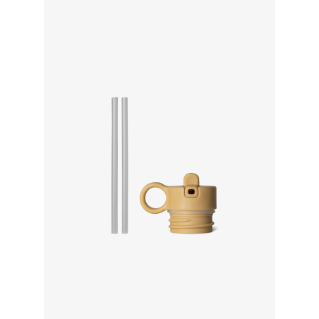 copy of
