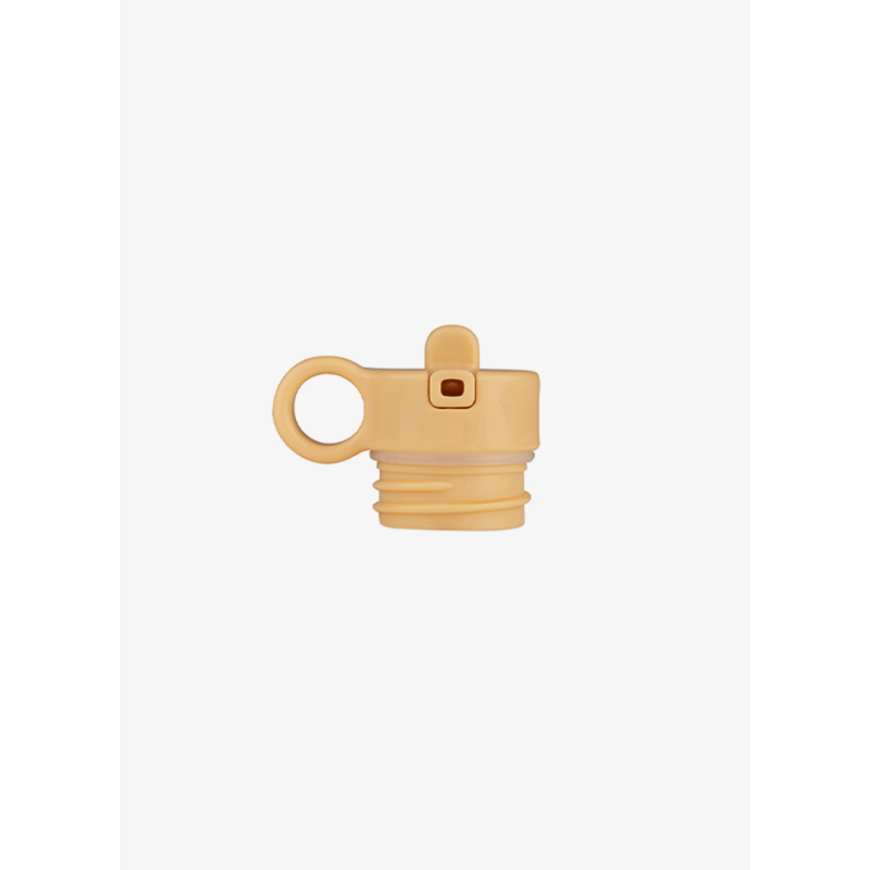 copy of