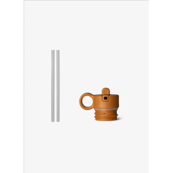 copy of