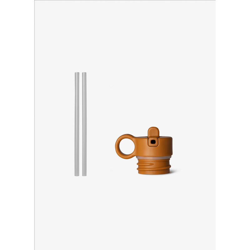 copy of