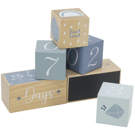 Label Label Milestone Blocks - Blue