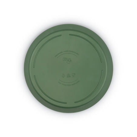 Citron Bio Based Plates Set of 2 - Green