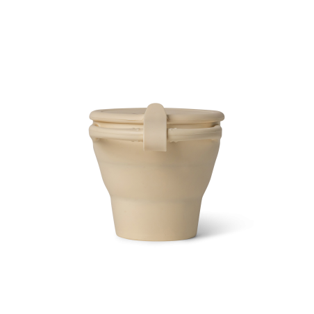 copy of