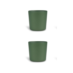 copy of