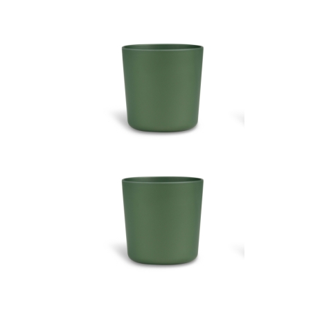 copy of