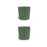 Citron Bio Based Cups Set of 4 - Green / Cream