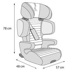 copy of RENOLUX RENOFIX autosedačka, Carbon 2020 2